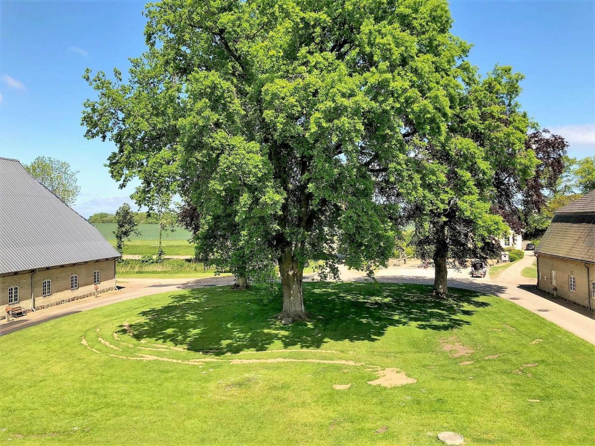 Ferienwohnungen Herrenhaus Gut Oestergaard Steinberg  Zewnętrze zdjęcie